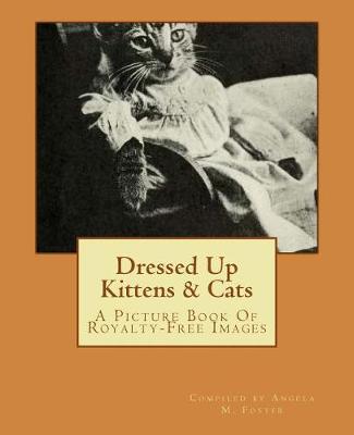 Book cover for Dressed Up Kittens & Cats