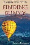 Book cover for Finding Bunny