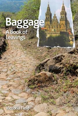 Book cover for Baggage