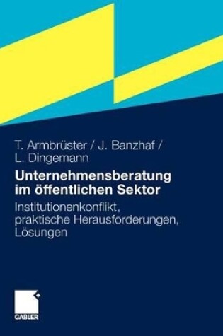 Cover of Unternehmensberatung Im OEffentlichen Sektor