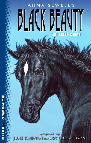Book cover for Puffin Graphics: Black Beauty