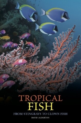 Cover of Tropical Fish