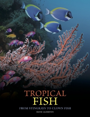 Book cover for Tropical Fish