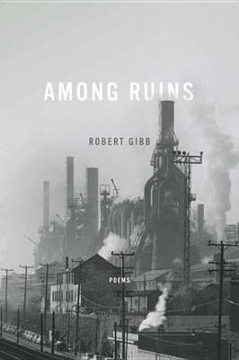 Cover of Among Ruins