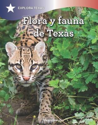 Book cover for Flora Y Fauna de Texas (the Animals and Vegetation of Texas)