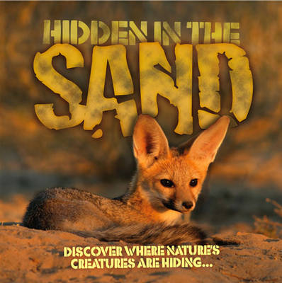 Book cover for Hidden in the Sand