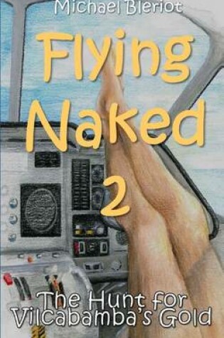 Cover of Flying Naked 2