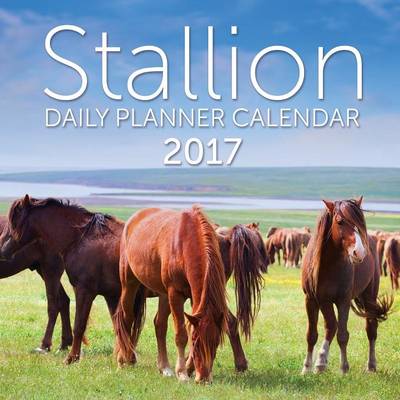 Book cover for Stallion