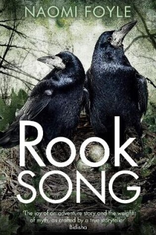 Cover of Rook Song