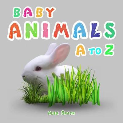 Book cover for Baby Animals A to Z