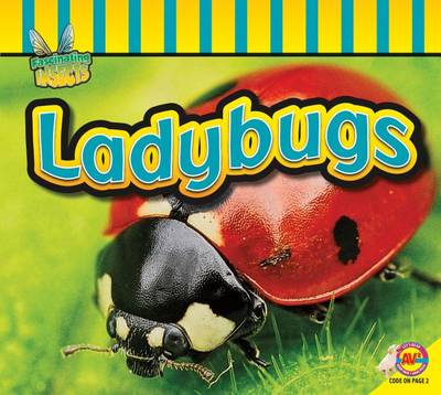 Cover of Ladybugs