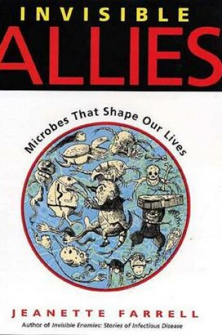 Cover of Invisible Allies