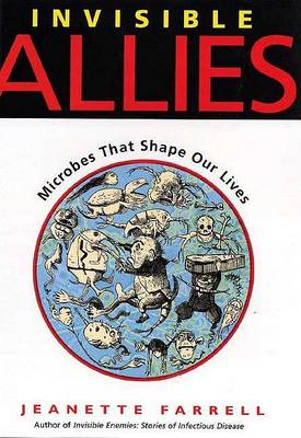Cover of Invisible Allies