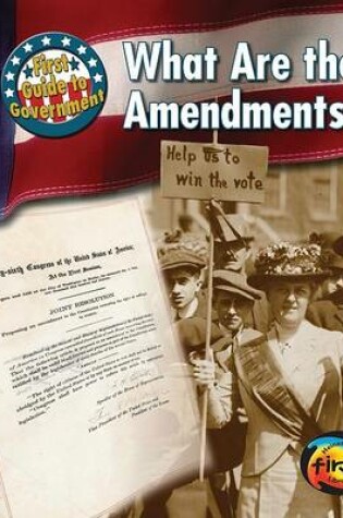 Cover of What Are the Amendments?