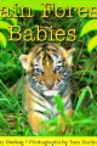 Cover of Rainforest Babies