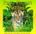 Book cover for Rainforest Babies