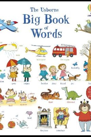 Cover of Big Book of Words