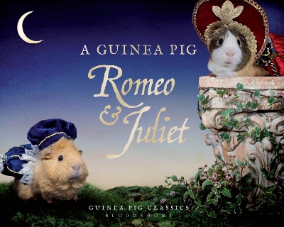 Book cover for A Guinea Pig Romeo & Juliet