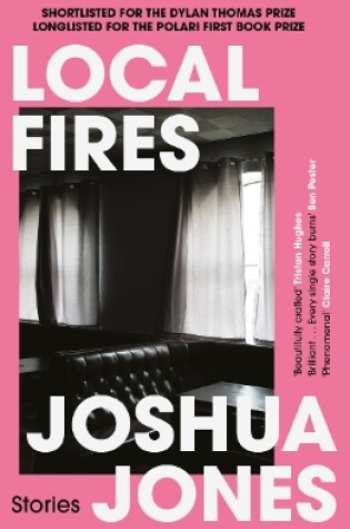 Cover of Local Fires