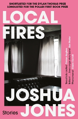 Book cover for Local Fires