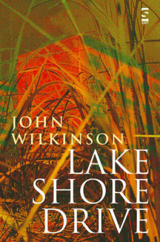 Cover of Lake Shore Drive