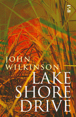 Book cover for Lake Shore Drive