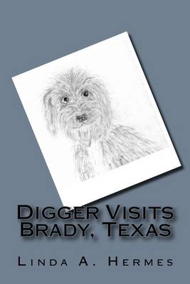 Book cover for Digger Visits Brady, Texas