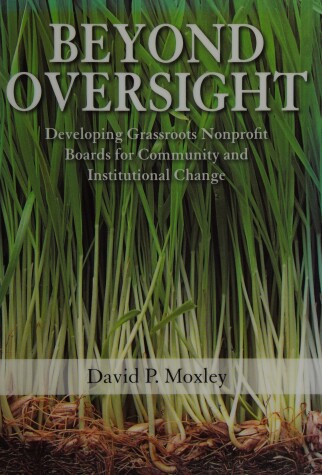 Book cover for Beyond Oversight