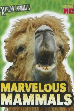 Cover of Marvelous Mammals
