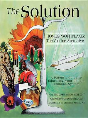 Book cover for The Solution