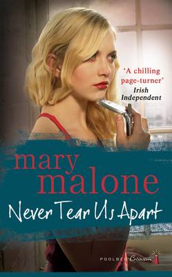 Book cover for Never Tear Us Apart