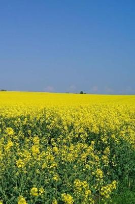 Book cover for Oilseed Notebook