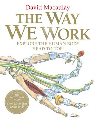 Book cover for The Way We Work