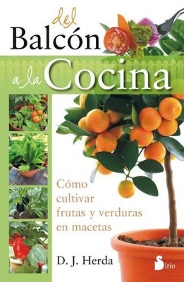 Book cover for del Balcon a la Cocina