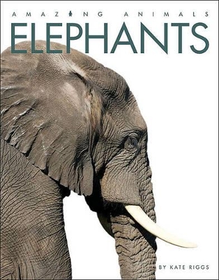 Book cover for Amazing Animals: Elephants