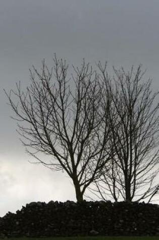 Cover of Trees and a Moody Sky Journal