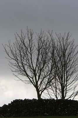 Book cover for Trees and a Moody Sky Journal