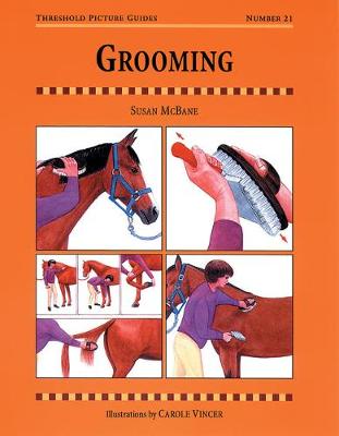 Book cover for Grooming