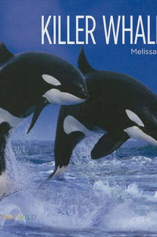 Cover of Killer Whales