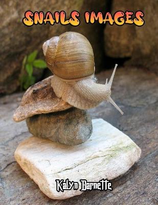 Book cover for Snails Images