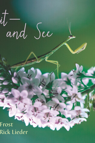 Cover of Wait and See
