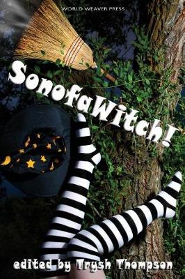 Book cover for SonofaWitch!