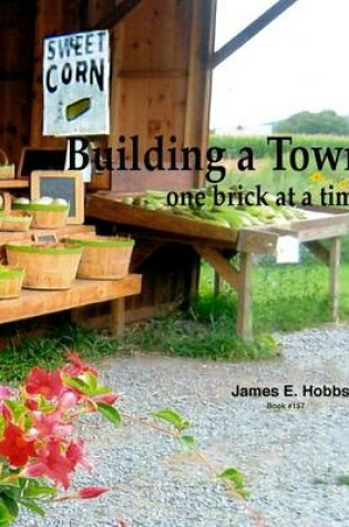 Cover of Building a town, one brick at a time