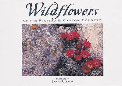 Cover of Wildflowers of the Plateau & Canyon Country