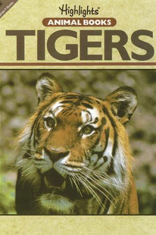 Cover of Tigers