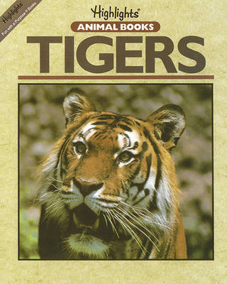 Book cover for Tigers