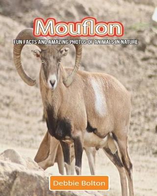 Book cover for Mouflon