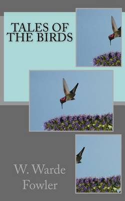 Book cover for Tales of the birds