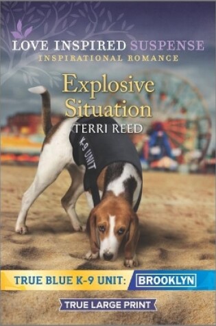 Cover of Explosive Situation