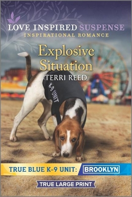 Book cover for Explosive Situation